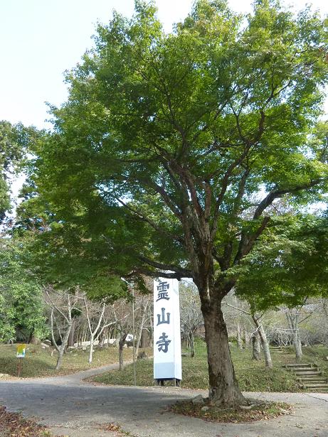 P1100810b.jpg