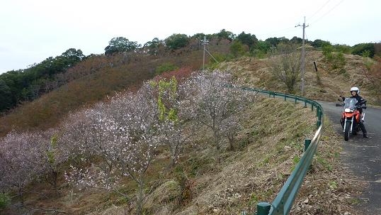 P1100922b.jpg