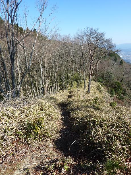 P1220954b.jpg