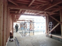 t-house4.jpg