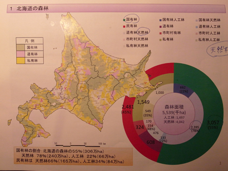ringyou02.jpg