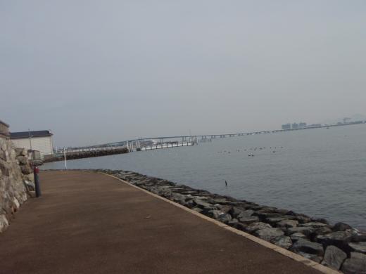 120222-0959a.jpg