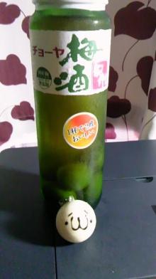 はやぶさのブログ-13