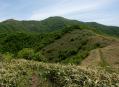 ササ原から見る下蒜山