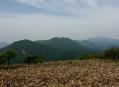 蒜山と大山