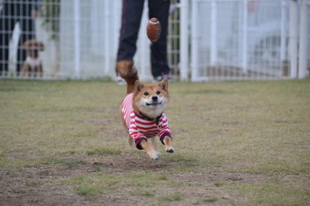 007_convert_20111030195047.jpg