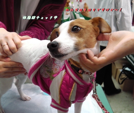 015_20140217160914ce9.jpg