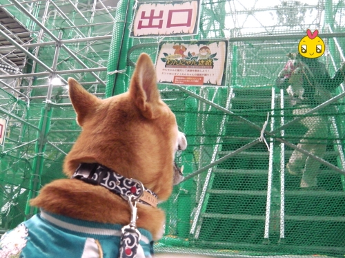 017_201402171609168d2.jpg
