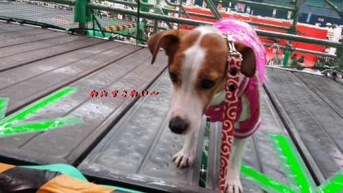 20140215_105031.jpg