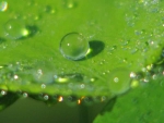 7957.jpg