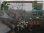 mhf__812.jpg