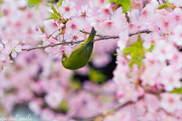 IMG_0329のコピー_R