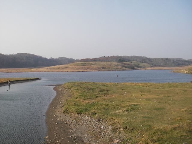 IMGP4419.jpg