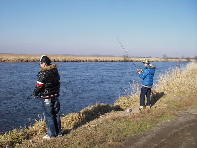 IMGP4428.jpg