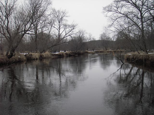 IMGP4511.jpg