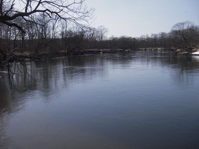 IMGP4522.jpg