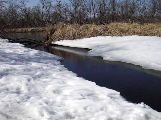 IMGP4529.jpg