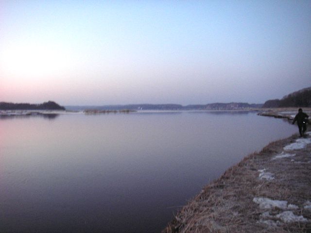 IMGP4536.jpg