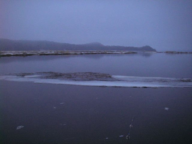IMGP4542.jpg