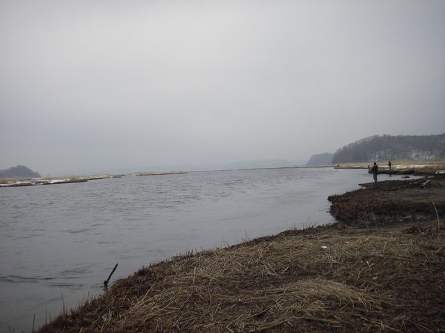 IMGP4547.jpg
