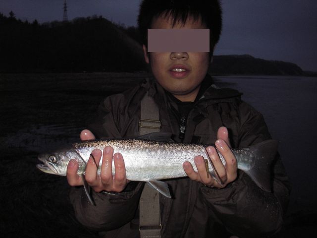 IMGP4609.jpg