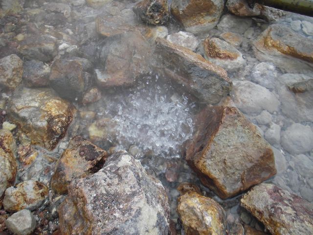 IMGP4632.jpg