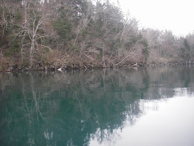 IMGP4651.jpg