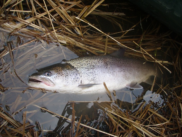 PB150236.jpg