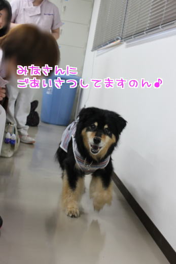 ごあいさつは平等になのね!