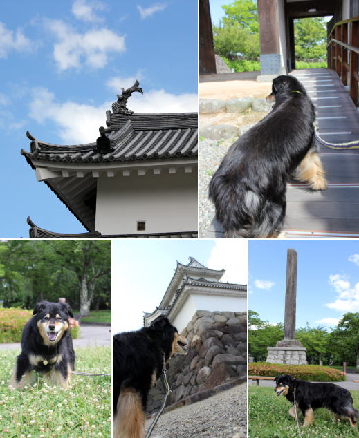 白石城~