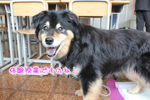 Hanaちんも頑張るのね!