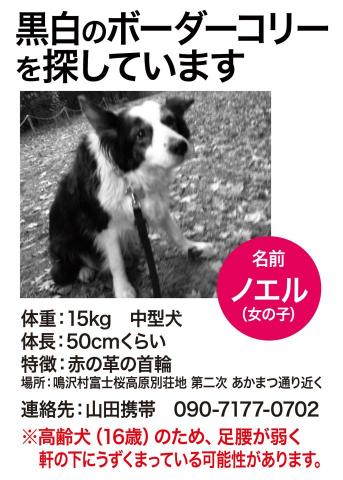 ノエルちゃん