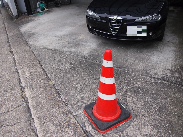 P9243038ロメ男