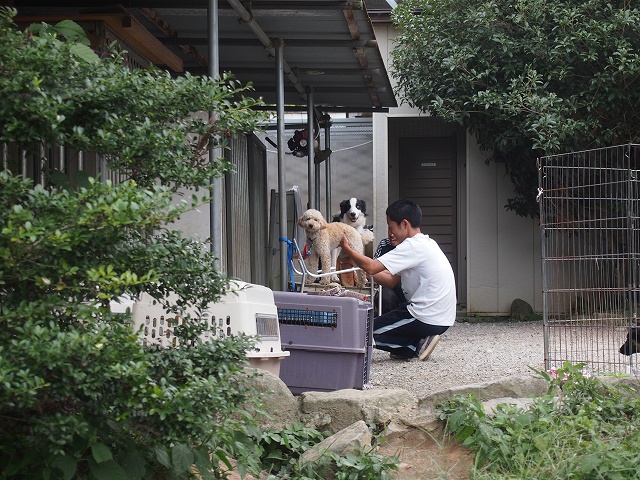 P9152776.jpg