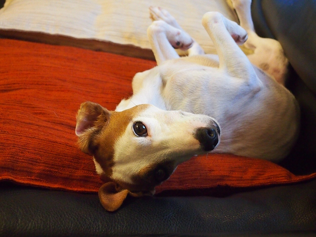 P9162901.jpg