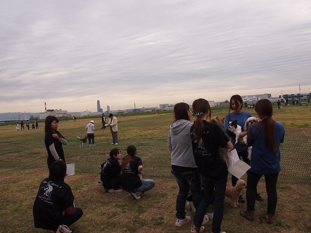 P9202948.jpg