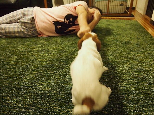 P9243082.jpg