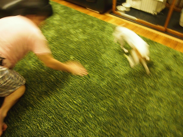 P9243105.jpg