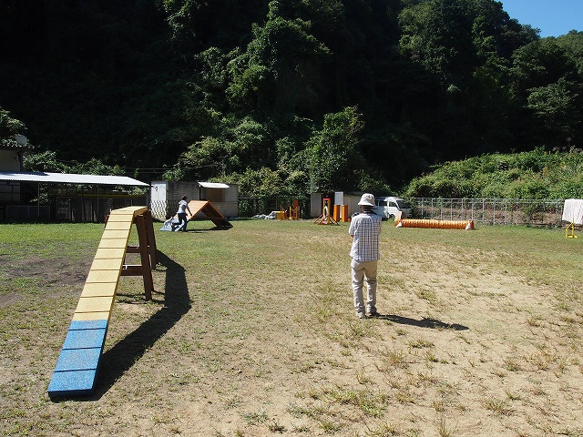P9273136.jpg