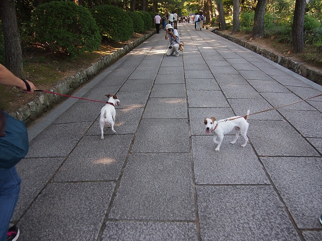 P9273222.jpg