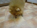 moko8-23-11.jpg