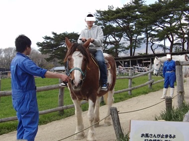 ボクはロバにも馬にも乗れませんでした