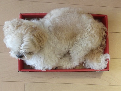 2013ちょい狭上から