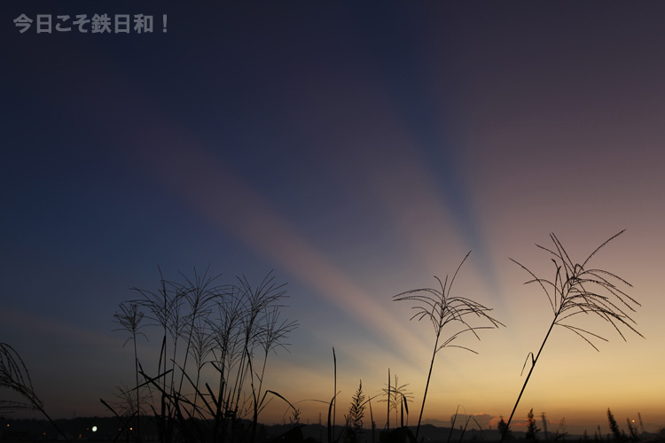 _MG_7102.jpg