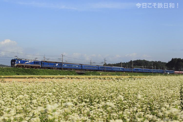 _MG_7115.jpg