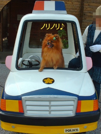 DSCF0027.jpg