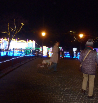 P1060067.jpg