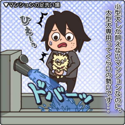 謎の足洗い場