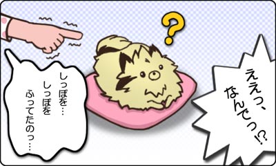 夫婦4コマ_13_しっぽ_C
