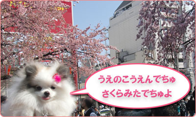 きれいになりまちた_B